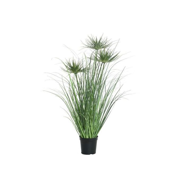 Lifestyle Gras in pot plastic L40-W40-H62cm - groen