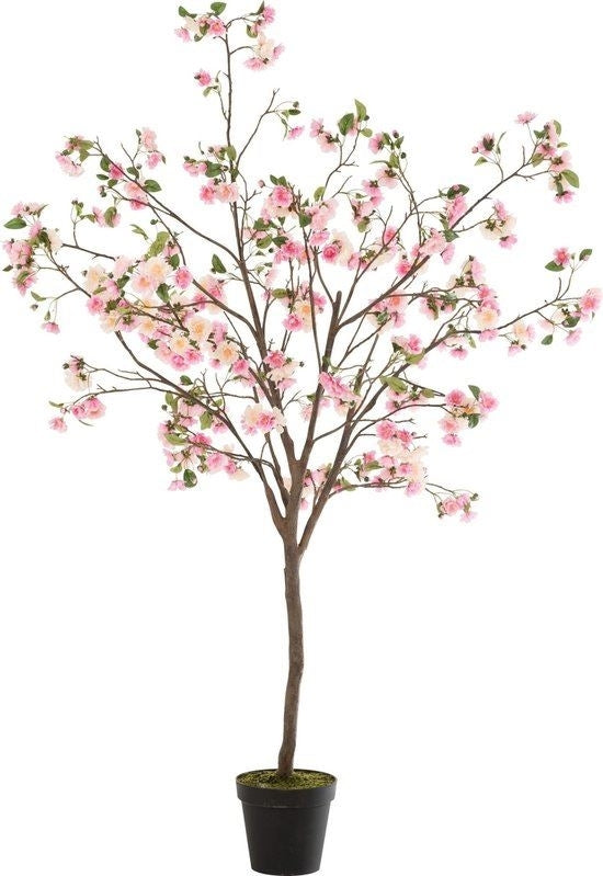 Lifestyle BLOESEMBOOM PL ROZE/BRUIN L (100x100x192cm)