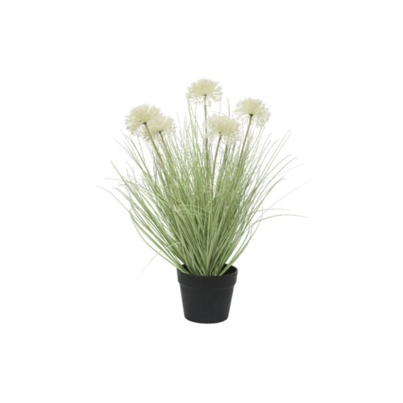 Lifestyle Gras in pot plastic dia35-H74cm - green/purple